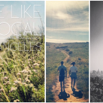 Hike Like A Local (LA’s Best Hikes)